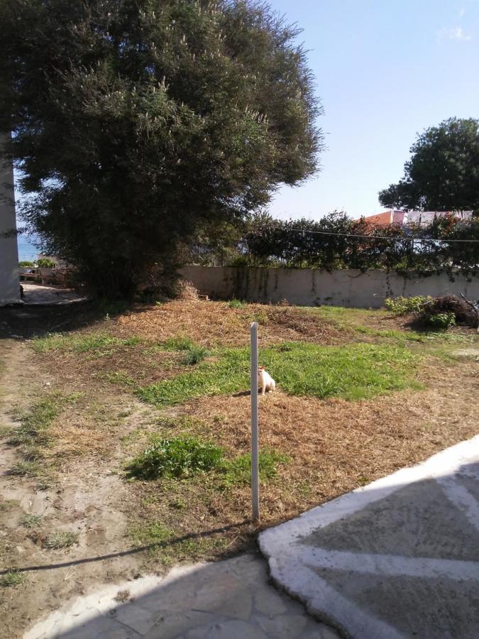 Dimitris Apartments Messongi Mesongí Exterior foto